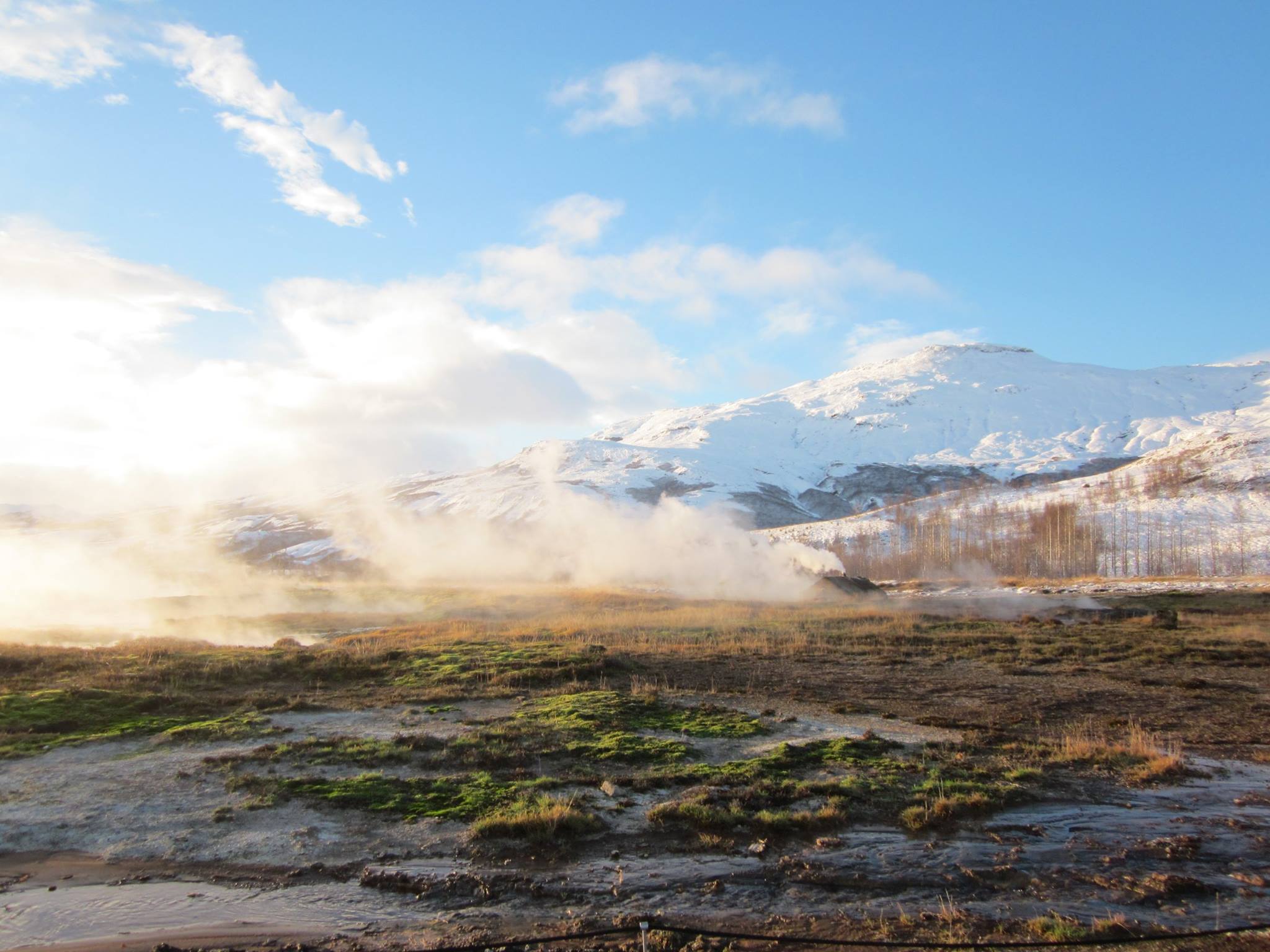 Geyser landscape in Iceland