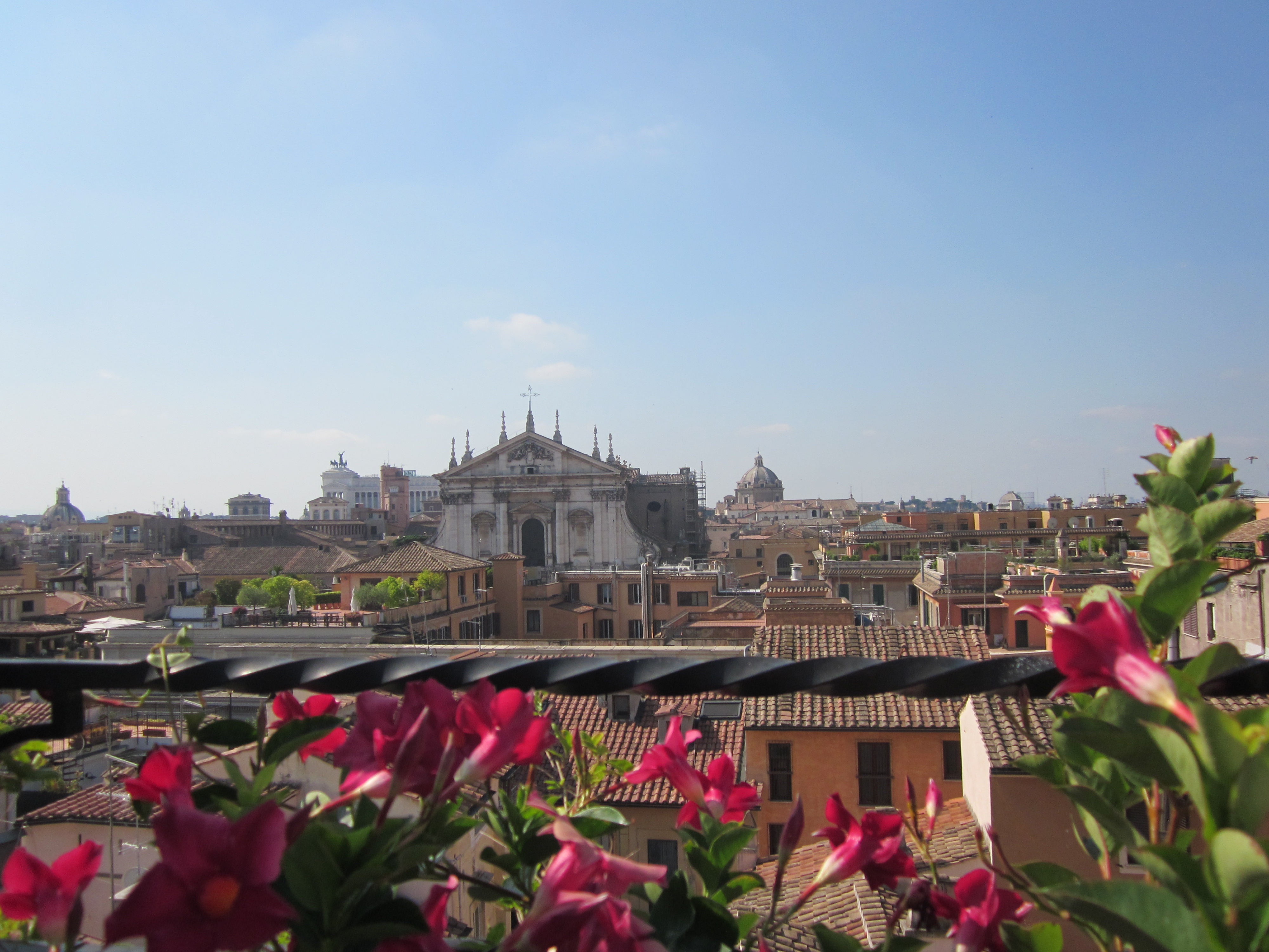 Pink flowers in the foreground with Italian buildings in the background, Rome